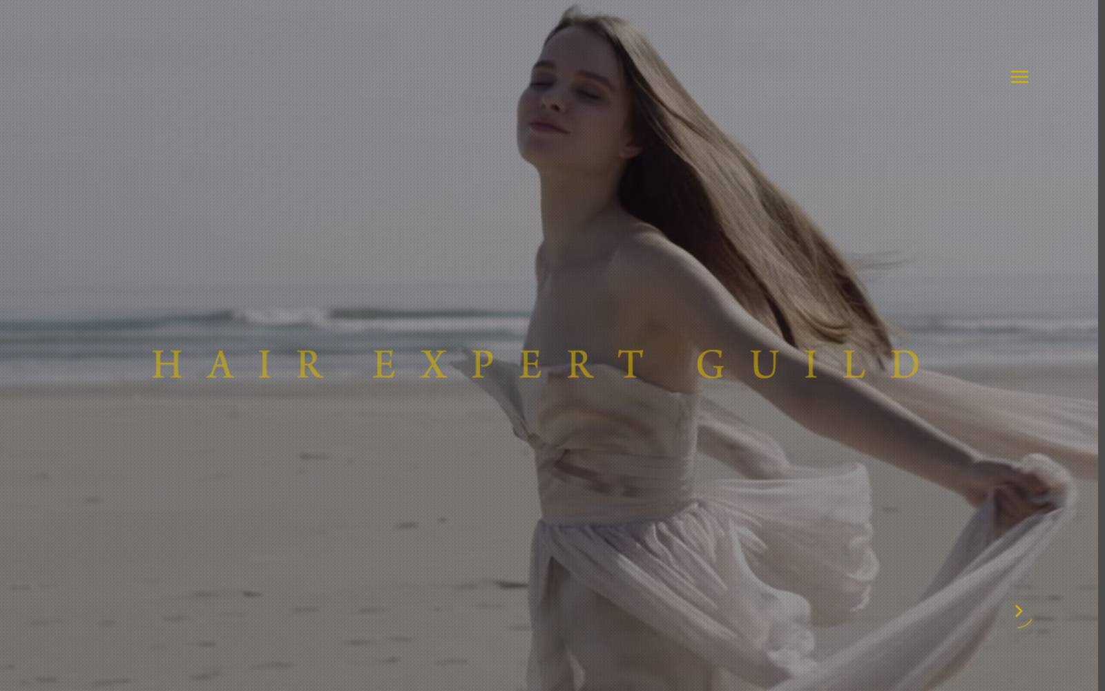 Hair Expert Guild